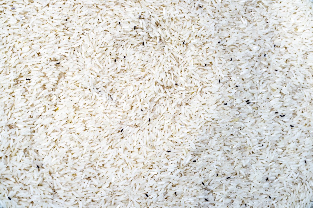 The condition is known as "fried rice syndrome" because if rice is left out at room temperature, it can produce toxins that cause diarrhea and vomiting.