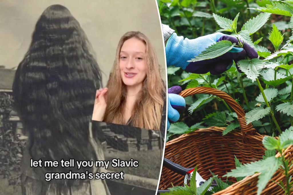 The Slavic grandmother haircut for longer and stronger hair is quite natural