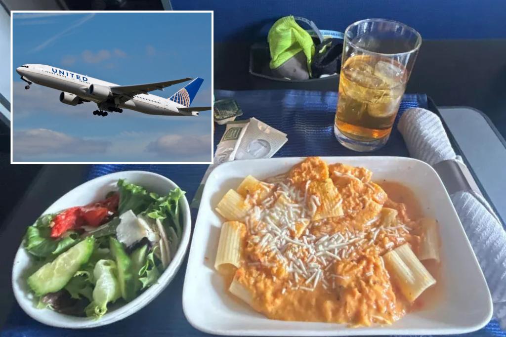 United passengers were shocked at the 'degradation' of food quality on various days